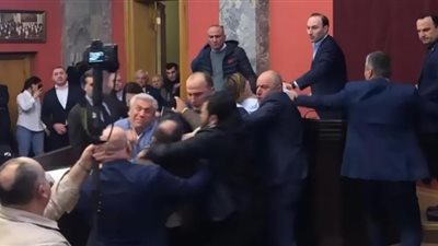 مصارعة حرة بين نواب برلمان جورجيا.. شاهد