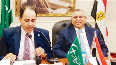 د. عبدالسند يمامة: شخصية سعد «محورية».. والثورة حققت الاستقلال وصنعت الدستور
