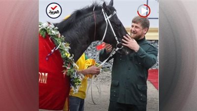 سرقة حصان رئيس الشيشان 