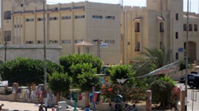 تأييد حبس شاب سنة بالشرقية لضرب والدته في مقطع علي فيسبوك