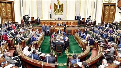 زراعة البرلمان توصي بإزالة مكامير الفحم بالدقهلية