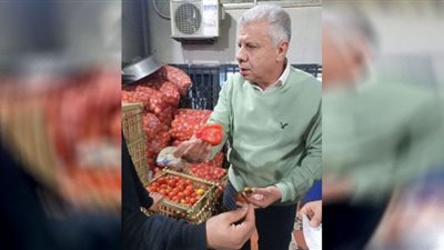 ضبط أغذية غير صالحة للاستهلاك الآدمي في فاقوس بالشرقية