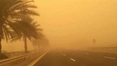 لمرضى الحساسية.. روشتة طبية للوقاية من الرمال والأتربة العالقة بالجو