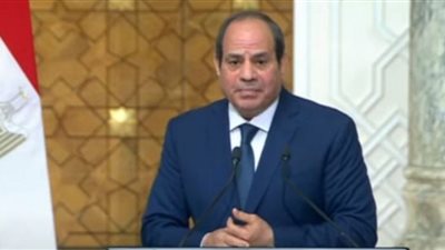 السيسي: مستعدون لتقديم جميع التسهيلات للشركات الدنماركية بمصر (شاهد)