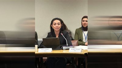مصر لديها تشريعات وطنية قوية لحماية الأطفال من الاستغلال الجنسى