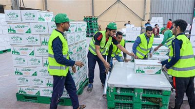 توزيع 10 آلاف كرتونة مواد غذائية بالفيوم