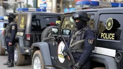 استمرار حبس المتهم بالتعدي على سيدة منعته من ضرب كلب بـ