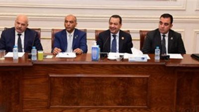 زراعة الشيوخ: إضافة 3.5 مليون فدان طفرة زراعية تحقق الأمن الغذائي