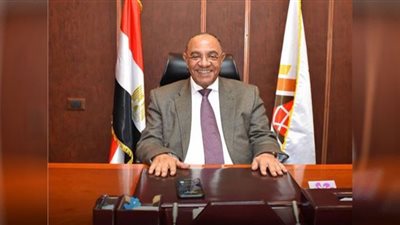 تجارية الجيزة: المشروعات الصغيرة أمل مصر نحوالتنمية المستدامة