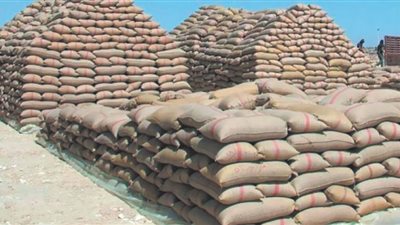 هل تعود مصر لاتفاقية الحبوب؟