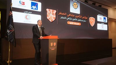 الرقابة المالية: ندعم تحقيق التكامل بين التمويل والتأمين متناهي الصغر