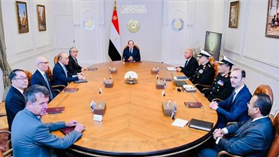 مصر حريصة على التعاون مع الشركات العالمية في إدارة وتشغيل الخطوط الملاحية