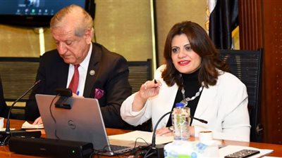 إدارة مصرية كاملة لشركة المصريين بالخارج للاستثمار.. تفاصيل