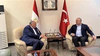 زيارة وزير خارجية تركيا إلى مصر تدشن لمسار استعادة العلاقات الطبيعية بين البلدين