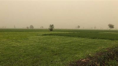 ريف الدقهلية ضمن المحافظات المدرجة ضمن