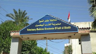 ضبط 500 كيلو رنجة دون بيانات إنتاج في كفر الشيخ