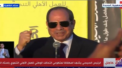 السيسي: مبادرة كتف في كتف تواجه غلاء الأسعار.. فيديو