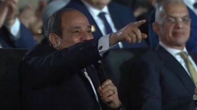 اهتمام السيسي بسيناء.. 