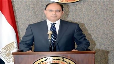 السفير أحمد أبو زيد يكشف تفاصيل زيارة وزير الخارجية التركي إلى مصر