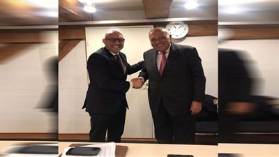 شكري يلتقي السكرتير التنفيذي لاتفاقية الأمم المتحدة الإطارية لتغير المناخ