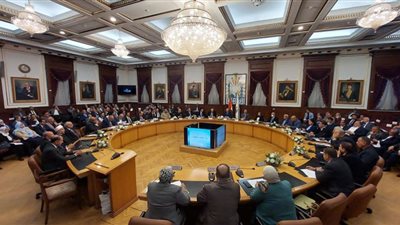 محافظ القاهرة: مبادرة 