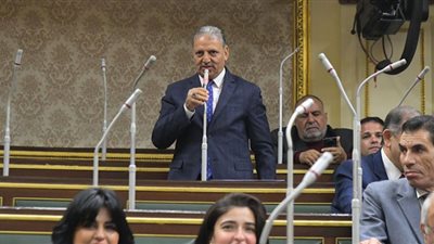 دفاع النواب يشيد باستراتيجية الداخلية لتحقيق الانضباط الأمني