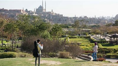 ساعات ويبدأ الربيع.. موسم الفصول الأربع في يوم واحد