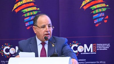 معيط: المبادرة المصرية لتحالف الديون المستدامة تخلق حيز مالي لتعزيز الاستثمارات الصديقة للبيئة