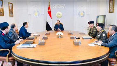 الرئيس السيسي يتابع مشروع مستقبل مصر للإنتاج الزراعي