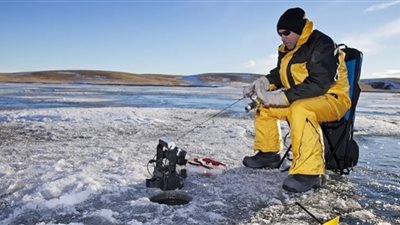 سر حياة الأسماك في البحيرات المتجمدة