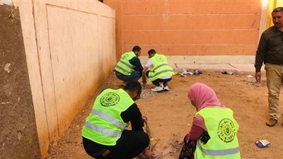 محافظ أسيوط: تنفيذ أعمال تشجير وزراعة شتلات بمركز القوصية