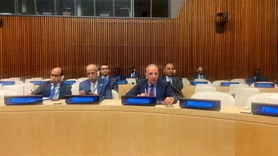 وزير الري يؤكد ارتفاع الإجهاد المائي بجميع أحواض الأنهار وخزانات المياه الجوفية