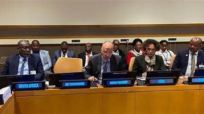 وزير الري: أجندة الاتحاد الأفريقي 2063 تركز على ضمان الأمن المائي