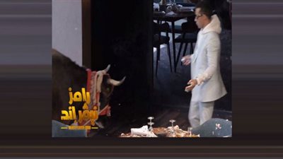 عجل يهاجم محمد رمضان في رامز نيفر إند.. شاهد