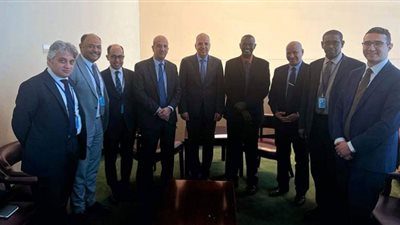 الري المصرية والسودانية.. علاقات تاريخية وأخوية خاصة في الموارد المائية