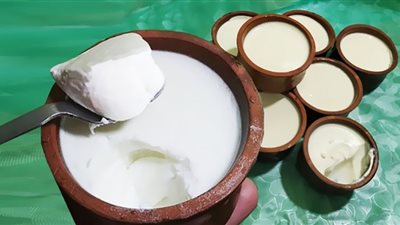 فوائد تناول الزبادي على سحور رمضان