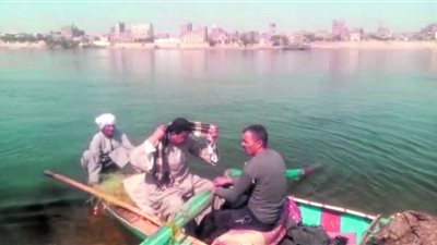 النيل يصرخ من سموم سكر دشنا .. أنقذوا شريان الحياة من المخلفات القاتلة