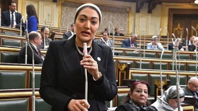 النائبة أسماء الجمال تتقدم بطلب إحاطة لإنشاء وحدة إنقاذ نهري بالصف