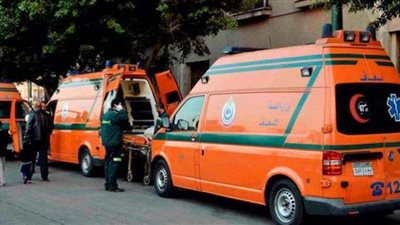 سيارة ربع نقل تصدم 6 أشخاص على الطريق في أسوان