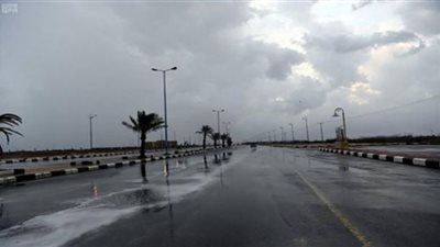 تفاصيل حالة الطقس بعد موجة عدم الاستقرار (فيديو)