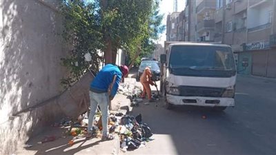 حملات نظافة بشوارع مدينة دشنا بقنا