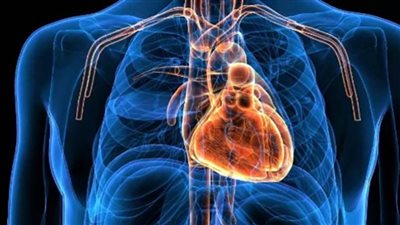 كسر القلب مصطلح علمي والصدمات النفسية والعاطفية السبب