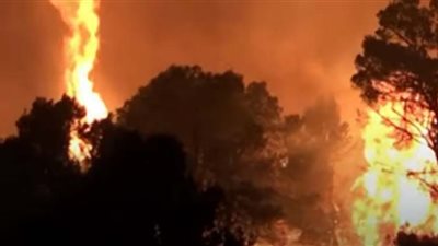 مشاهد مروعة لحرائق الغابات في إسبانيا (فيديو)