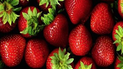 طبيب يحذر من إهمال غسل الفراولة جيدًا| حشرات لا ترى بالعين المجردة (فيديو)