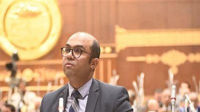 10.7 مليون عدد ذوى الإعاقة في مصر