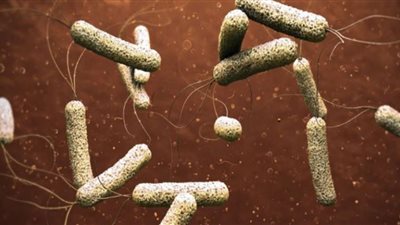 الأسباب الرئيسية لانتقال مرض الكوليرا