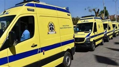 حادث تصادم تروسيكل يتسبب في إصابة 7 أشخاص في البحيرة