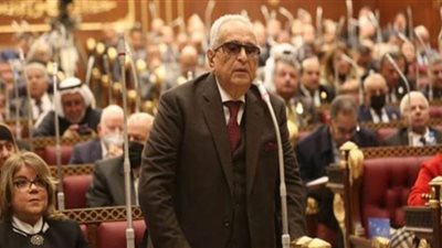 وكيل الشيوخ : مقترحات الحوار الوطني بناءة واستمرار الإشراف القضائي لو مبرراته