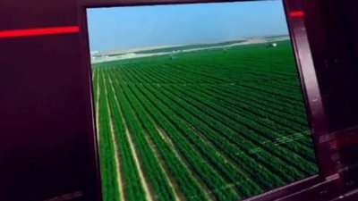 جهود مديريات الزراعة والطب البيطري في أسبوع (إنفوجراف)