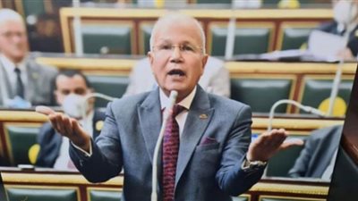شمس الدين: الإشراف القضائي على الانتخابات ضمانة حقيقية لسلامتها